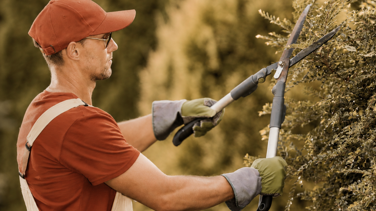 enodia-services-jardinage